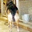 Thumbnail photo of Pauline #4
