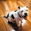 Thumbnail photo of Margo #1