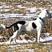 Thumbnail photo of Margo #2
