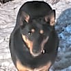 Thumbnail photo of Thelma #1