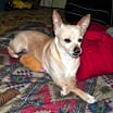 Thumbnail photo of Tiny #2