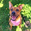 Thumbnail photo of Avia #1