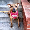 Thumbnail photo of Avia #3