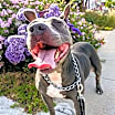 Thumbnail photo of Keisy #1