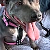 Thumbnail photo of Keisy #3