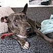 Thumbnail photo of Keisy #4