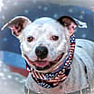 Thumbnail photo of Hogan #1