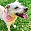 Thumbnail photo of Maddy #3