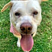 Thumbnail photo of Maddy #4