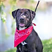Thumbnail photo of Buzz #2