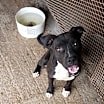 Thumbnail photo of Barney #3
