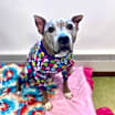Thumbnail photo of Zena #1