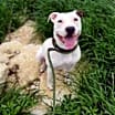Thumbnail photo of Betty #1