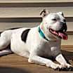 Thumbnail photo of Margo #4
