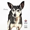 Thumbnail photo of Quirky #1