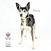 Thumbnail photo of Quirky #3