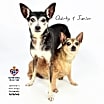 Thumbnail photo of Quirky #4