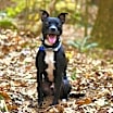 Thumbnail photo of Tucker #2