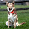Thumbnail photo of Gianna * She's gorgeous! * #1