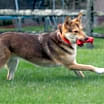 Thumbnail photo of Gianna * She's gorgeous! * #2