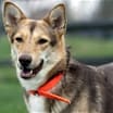Thumbnail photo of Gianna * She's gorgeous! * #3