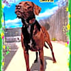 Thumbnail photo of Sienna #1
