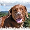 Thumbnail photo of Sienna #2