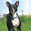 Thumbnail photo of Starla #1