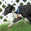 Thumbnail photo of Starla #2