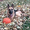 Thumbnail photo of Hailey #3