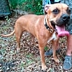 Thumbnail photo of Rocky #3