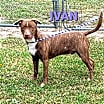 Thumbnail photo of Ivan #2