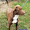 Thumbnail photo of Ivan #3