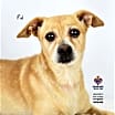 Thumbnail photo of Pal #1