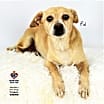 Thumbnail photo of Pal #2