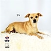 Thumbnail photo of Pal #3