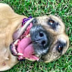 Thumbnail photo of Hope #2