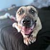 Thumbnail photo of Hope #3