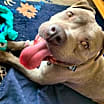 Thumbnail photo of Mercury #3