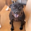 Thumbnail photo of Laila #2