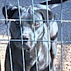 Thumbnail photo of Claire #2