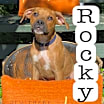 Thumbnail photo of Rocky #3