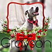 Thumbnail photo of Grayson #1