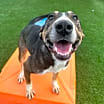 Thumbnail photo of Anastasia #3