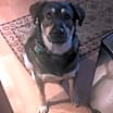 Thumbnail photo of Dexter W. #1