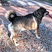 Thumbnail photo of Dexter W. #2