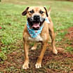 Thumbnail photo of Otto #1