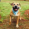 Thumbnail photo of Otto #4