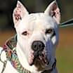 Thumbnail photo of zero #1
