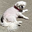 Thumbnail photo of Annie #3
